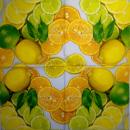 072 Lemons,  Oranges - 3 ply